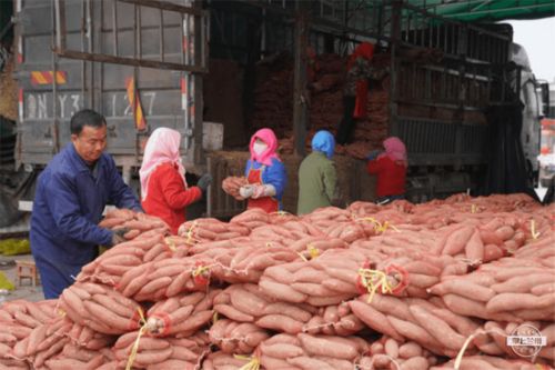 強化物流基礎設施，武威助力農特產品銷售出實招