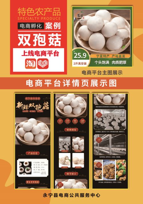 打造區域公共品牌丨永寧農產品招募令 共建本土優質農產品銷售新生態
