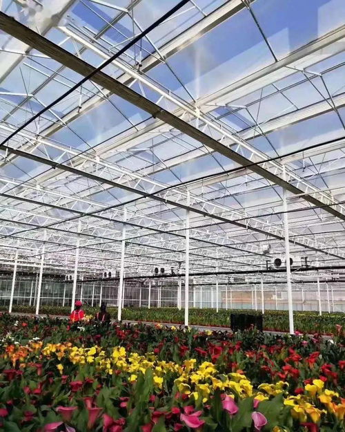 現代農業產業園如何拿到 補貼