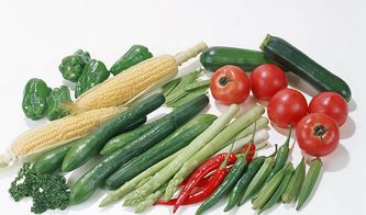 產業化發展，夯實扶溝蔬菜品牌基礎——以初級農產品銷售為視角