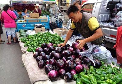 農民的新春大禮包來了！初級農產品銷售將免征稅收，惠農政策再升級