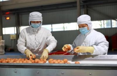 五好臺安 不一樣的東北鄉村，初級農產品銷售新篇章