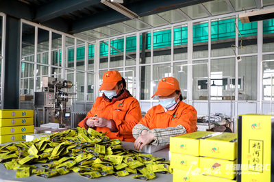 從田間到指尖 新疆特色農產品的華麗轉型