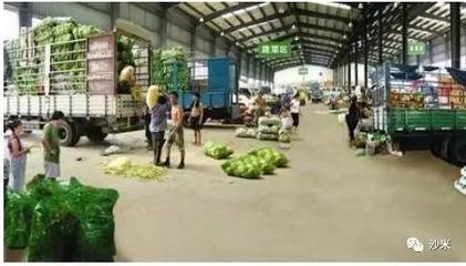 從紅山草豬專賣店的營銷看中國農業商業化三大模式——初級農產品銷售篇