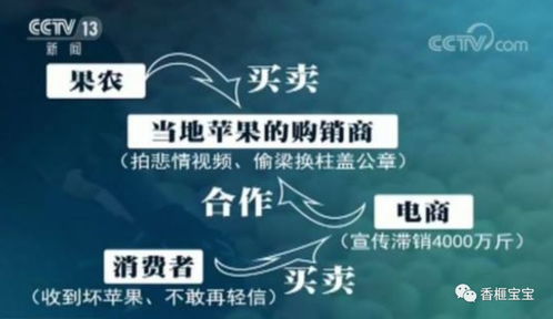 愛心助農背后 初探初級農產品銷售中的人性暗面