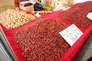 華南城大地迎春年貨節(jié)盛大開幕，第一書記傾情助農，初級農產品銷售火熱