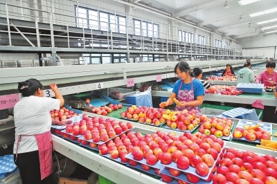 深入學(xué)習(xí)貫徹黨的二十大精神 以興業(yè)興城為引領(lǐng)，譜寫強(qiáng)縣富民新篇章——聚焦初級(jí)農(nóng)產(chǎn)品銷售新路徑