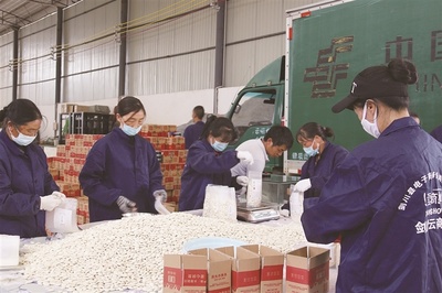 劍川 鋪就脫貧攻堅(jiān)小康路，打造初級(jí)農(nóng)產(chǎn)品銷售新模式