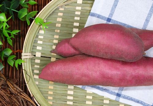 線下農(nóng)產(chǎn)品銷售日漸冷淡 中國(guó)富硒農(nóng)業(yè)的挑戰(zhàn)與轉(zhuǎn)型之路