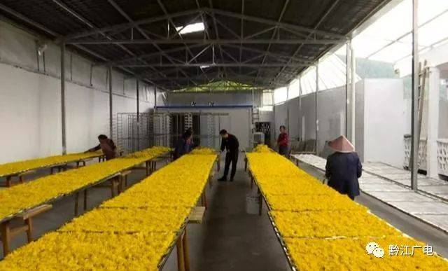 從“山里貨”到“金疙瘩” 農(nóng)產(chǎn)品深加工如何實(shí)現(xiàn)價(jià)格倍增與價(jià)值躍升